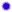bullet